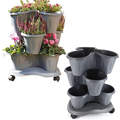 Bama Spa Säulentopf Set stapelbar 3 Ebenen Pflanz Blumen Kräuter Topf Etagere 3er Roller Grau