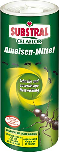 Substral Celaflor Ameisen-Mittel, staubfreies Ködergranulat, sehr gute Lockwirkung und zuverlässige Nestwirkung, 300g, grün