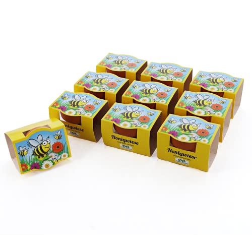 Bull & Bear 10er Set Mini-Pflanzset Honigwiese, 10x Blumensamen im Topf 4,5cm, Blumenmischung als Anzuchtset mit Pflegeanleitung