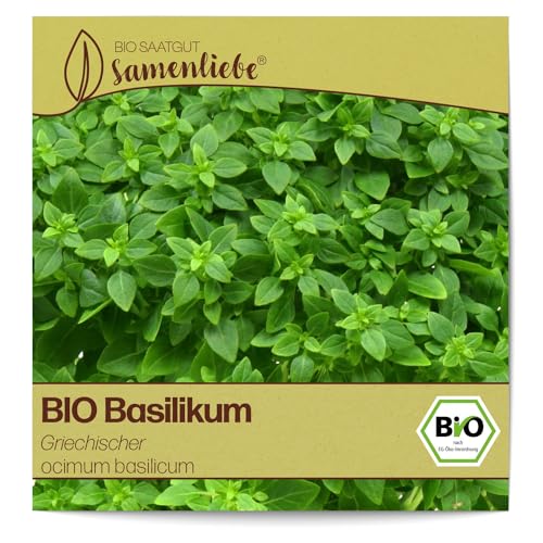 Samenliebe BIO Basilikum Samen Griechischer würziges Buschbasilikum kompakte Küchenkräuter grün 500 Samen samenfestes Kräuter Saatgut für Küche indoor und Balkon Garten BIO Kräutersamen