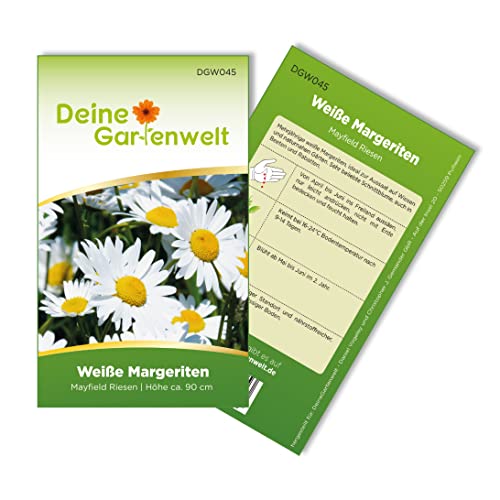 Margerite weiß Samen - Chrysanthemum maximum - Margeritensamen - Blumensamen - Saatgut für 80 Pflanzen