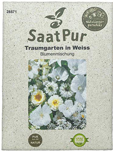 SaatPur Sommerblumenmischung Traumgarten in Weiß Samen Saatgut Sommeraussaat Blumenmix