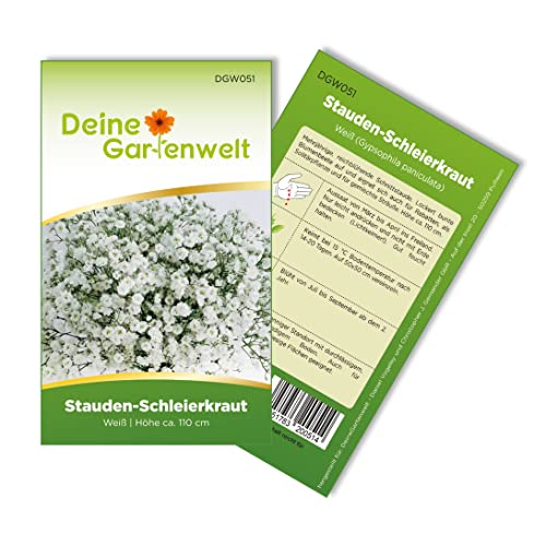 Stauden-Schleierkraut weiß Samen - Gypsophila paniculata - Stauden-Schleierkrautsamen - Blumensamen - Saatgut für 200 Pflanzen