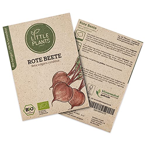 Little Plants BIO Rote Beete Samen, 80 Rote Beete Samen, hohe Keimrate, 100% Natürlich, BIO Samen Rote Bete Bolivar für Gemüsegarten, Gemüsebeet, Hochbeet – BIO Gemüsesamen Saatgut Nachhaltig