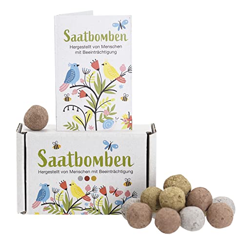 LouMaxx 15er Pack handgemachte Saatbomben, Samenbomben Geschenk, Blumensamen als Gastgeschenk, nachhaltige Samen Kinder Mitgebsel, ökologische Pflanzkugeln mit über 50 Arten Blumen & Kräutern