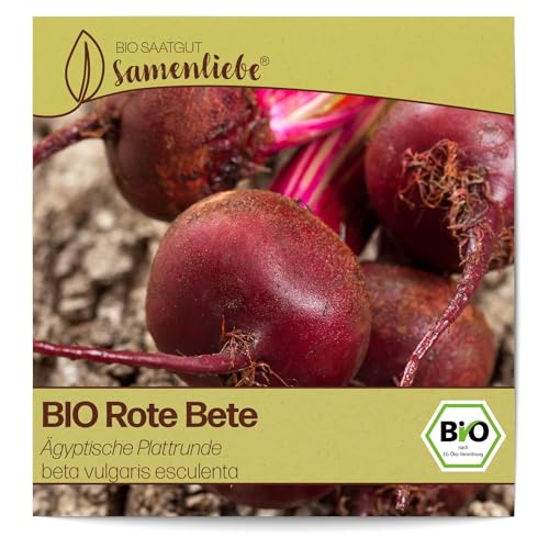 Samenliebe BIO Rote Bete Samen alte Sorte Ägyptische Plattrunde Beete Rüben 150 Samen samenfestes Gemüse Saatgut für Gewächshaus Freiland und Balkon BIO Gemüsesamen