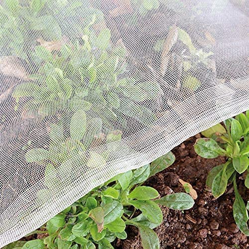 Garden Tailor 1.5mx10m Insektenschutznetz Gemüseschutznetz Insektenschutznetz GartennetzInsekten Vgel Fliegen Schutznetz Gemse Blumen Schutz Netz fr Garten Gemsegarten Obstgarten schtzen