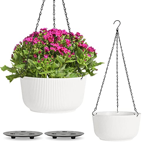 T4U Φ25cm Blumenampel Plastik 2er Set, Hängeampel mit Ketten, Blumenampel mit Bewässerungssystem zum Garten Wohnzimmer Blumenampel Außen für Hängetopf für Pflanzen, Blumentopf Hängend Weiß