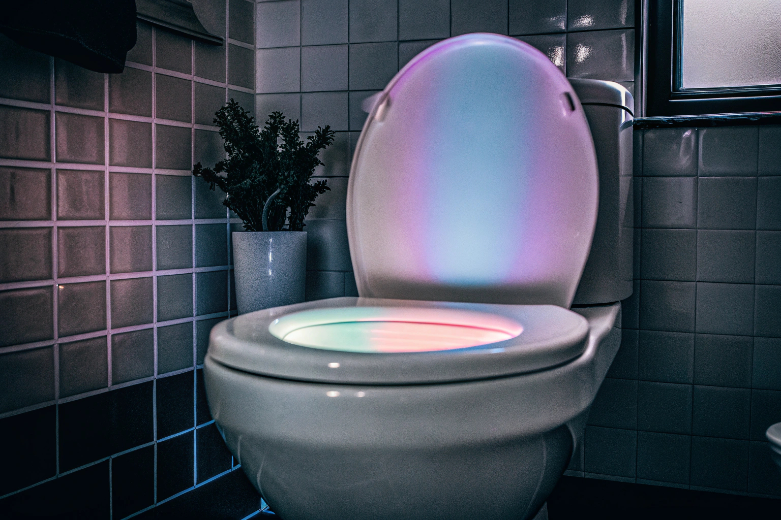 ToiLight WC Licht