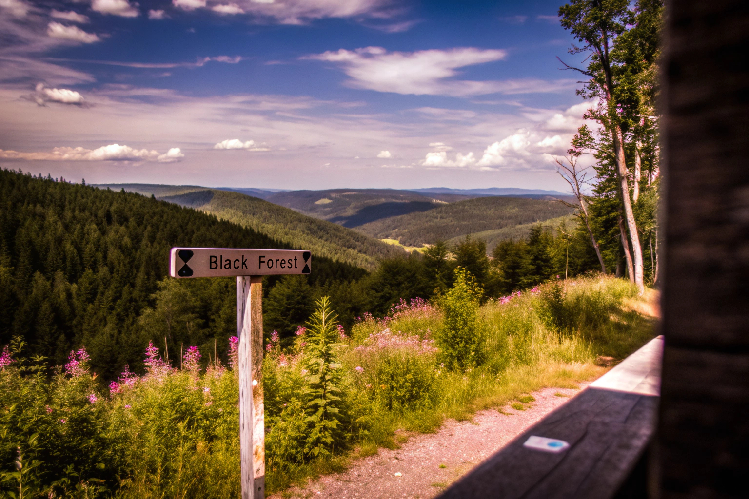 Schwarzwald Panorama