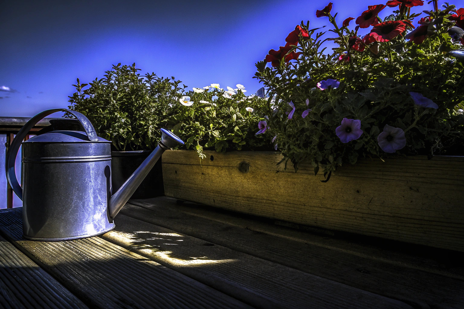 Gießkanne und Gartensprüher auf dem Balkon