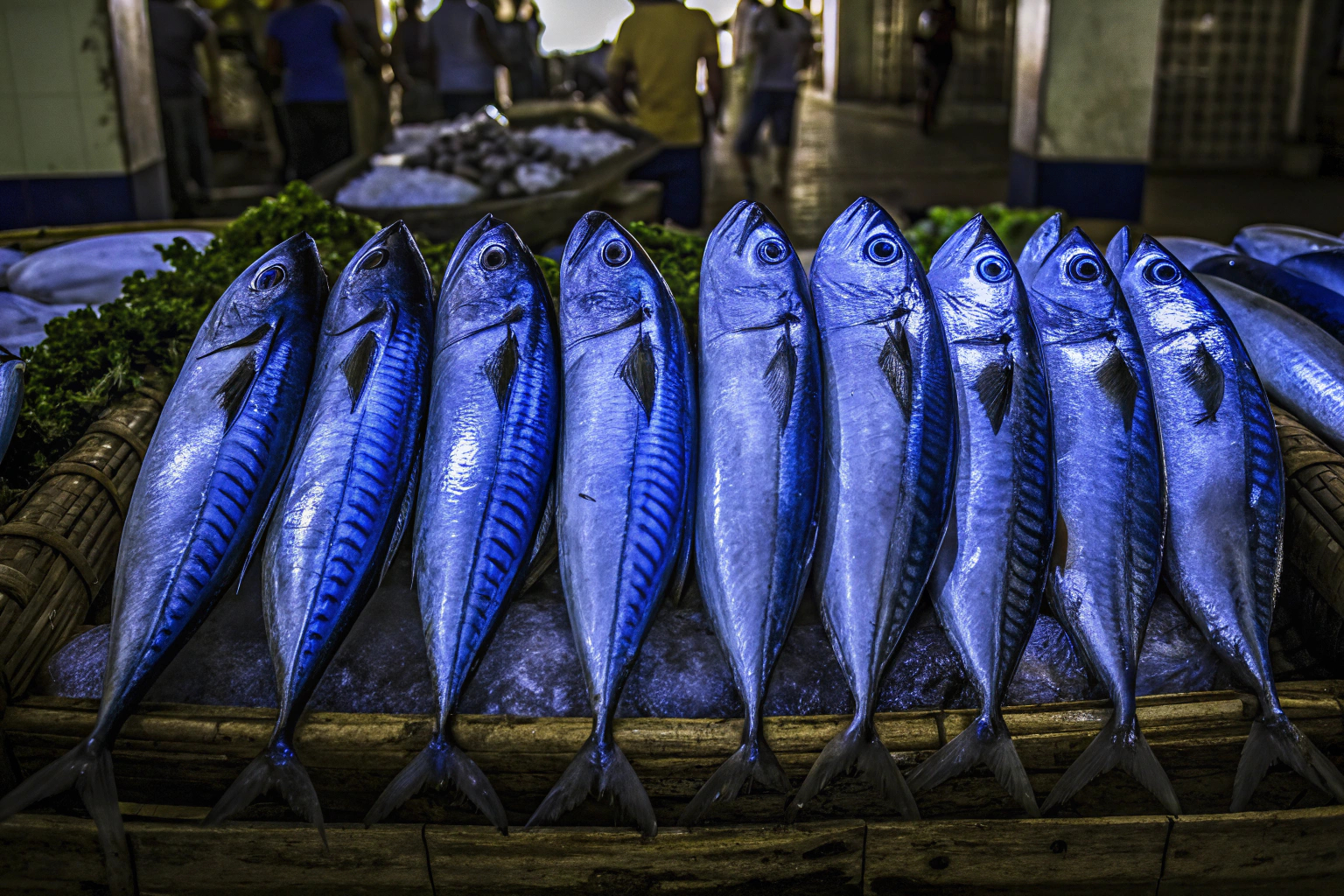 Frischer Fisch auf einem Marktstand