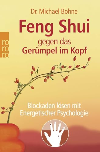 Feng Shui gegen das Gerümpel im Kopf: Blockaden lösen mit Energetischer Psychologie