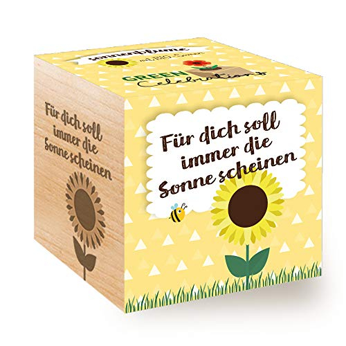 Celebrations Ecocube, Sonnenblume Bio Samen