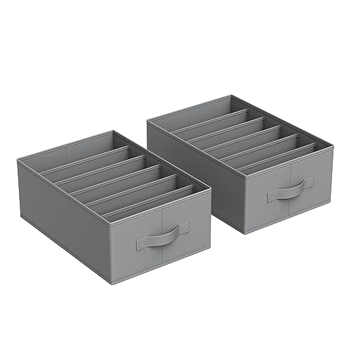 SONGMICS Kleiderschrank-Organizer 2er Set