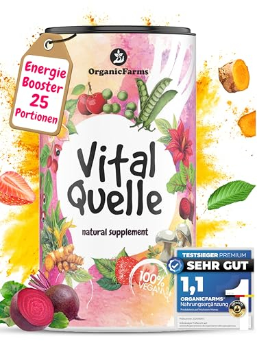 VITALQUELLE Superfood Smoothie Pulver