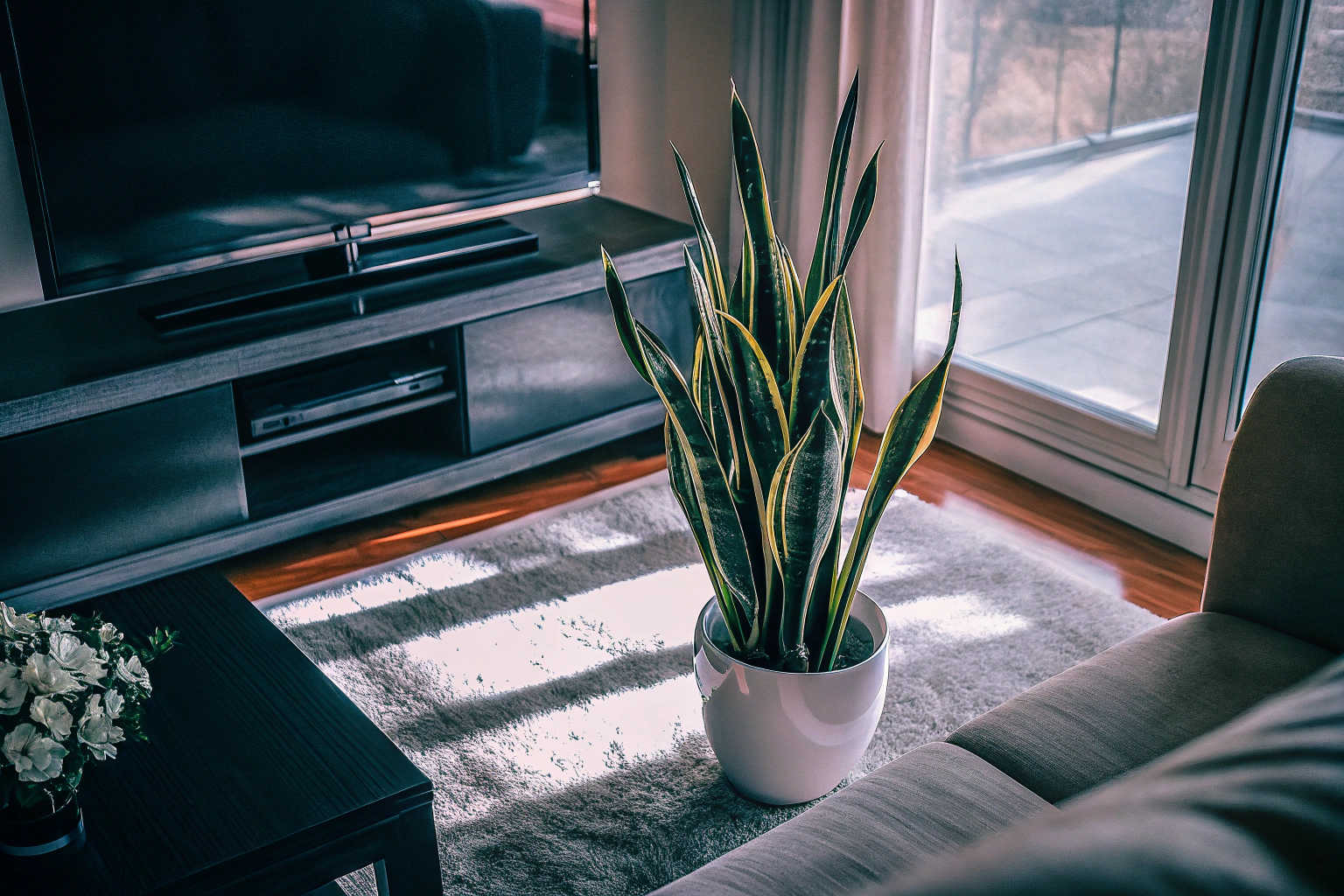 Luftreinigende Pflanzen im Wohnzimmer